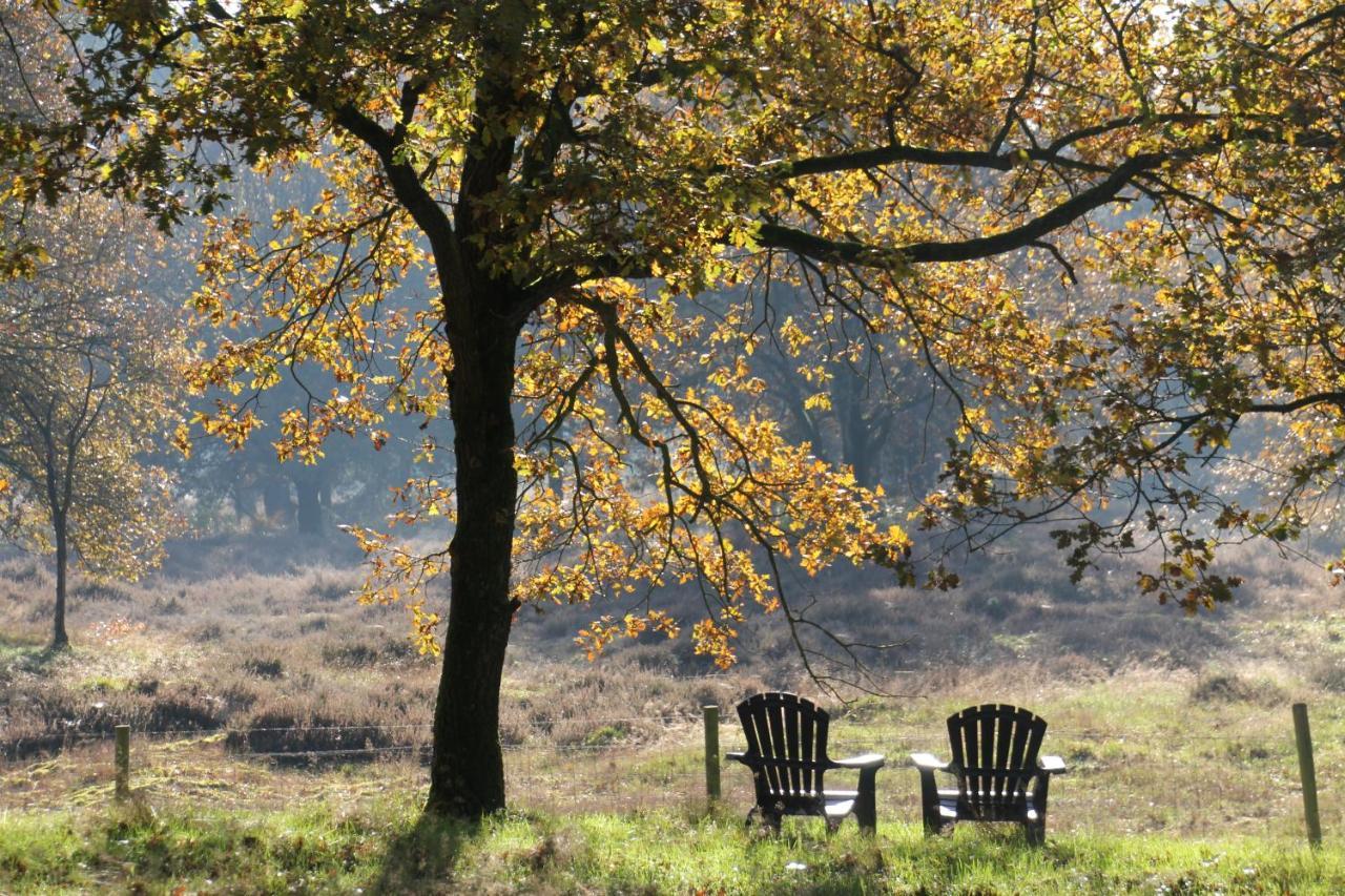 Inn The Woods - Private Stay Overberg Екстериор снимка